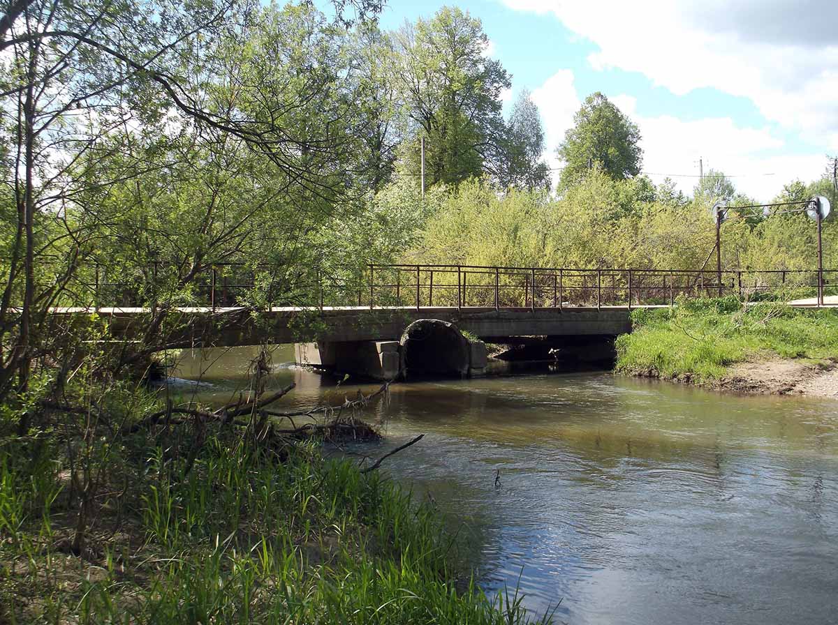 Мост через Молокчу в Перематкино