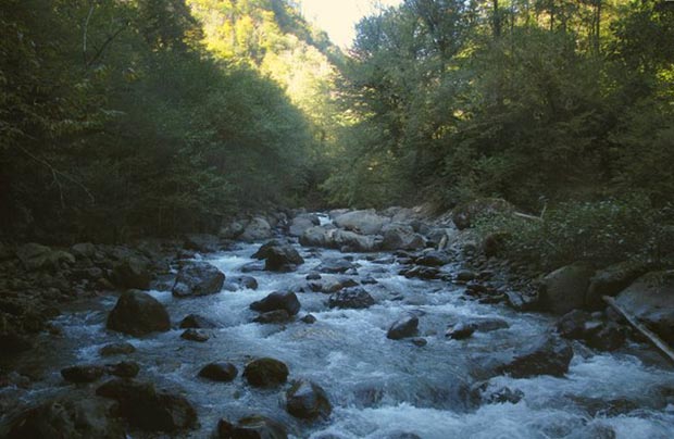 Река Техури, сплав на байдарках