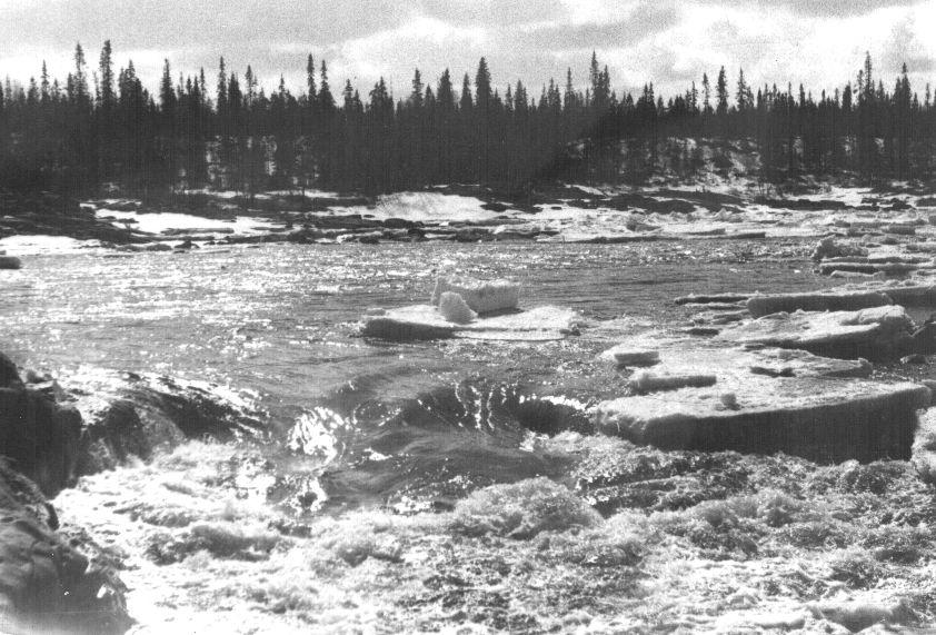 Река Печа в мае 1971
