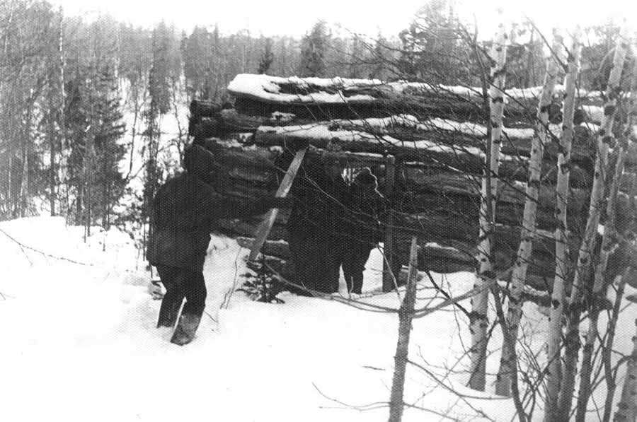 Запас дров у приюта