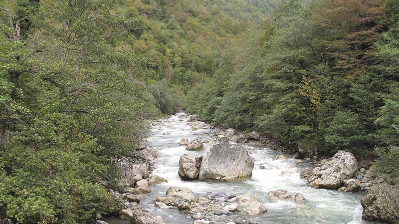 река Техури в Грузии