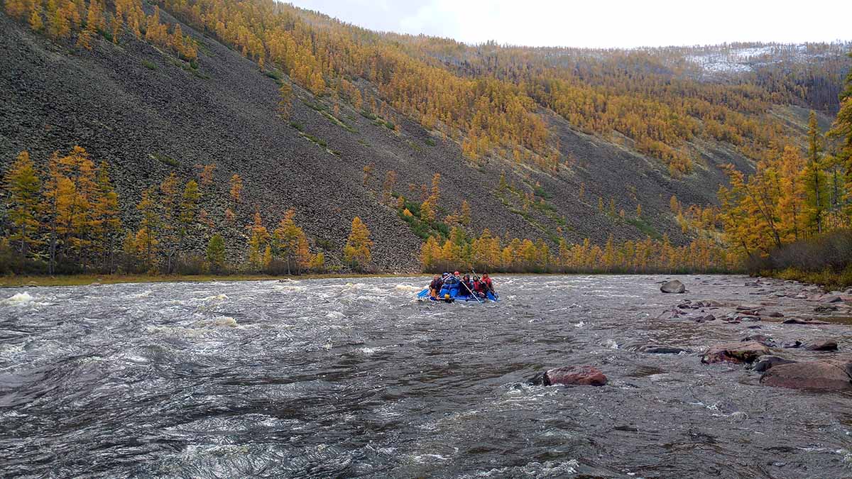 Катамаран сплавной Арктика 600 Expedition купить в магазине производителя!