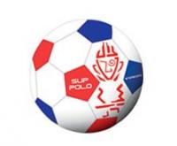 Картинка Мяч для игры в SUP поло Вольный Ветер с официального сайта