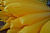 Картинка БАЛЛОН КАТАМАРАНА ВАЛДАЙ-2 Вольный Ветер с официального сайта